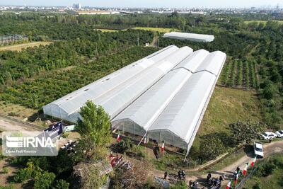 کشاورزی دانش ­بنیان، عامل مهم امنیت ­و بازدارندگی