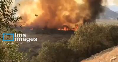  آتش‌سوزی در منطقه حفاظت‌شده شیمبار اندیکا مهار شد