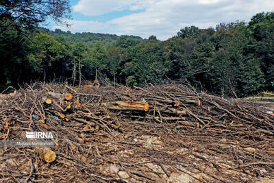  شبیخون به هیرکانی