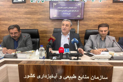  توقیف ۱۲ خودروی حامل چوب قاچاق در اردبیل/ در برابر ناترازی خاک و تخریب جنگل‌ها سکوت نمی‌کنیم