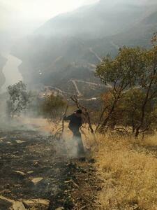  مهار ۶ مورد آتش‌سوزی طی پنج روز گذشته در زیستگاه‌های سروآباد