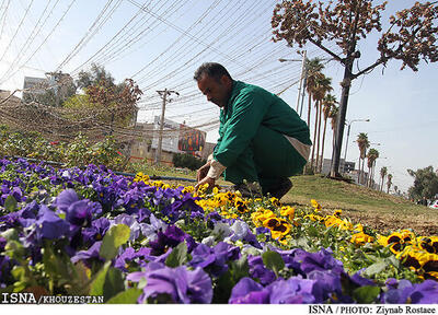  کاشت باغچه‌های فصلی در اهواز از نیمه آبان