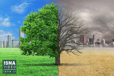  فضای سبز و انتخاب گیاهانمان باید متناسب با اقلیم ۲۰۵۰ باشد