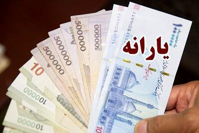 وزیر رفاه : حذف یارانه پردرآمدها با داده‌های بانکی و بیمه‌ای انجام می‌شود