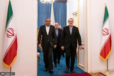 لاریجانی در دیدار وزیر کشور پاکستان: روابط ایران و پاکستان می‌تواند به سطح شراکت راهبردی ارتقا یابد