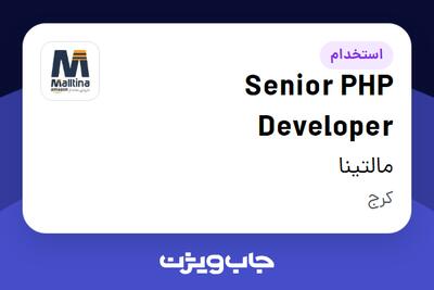  استخدام Senior PHP Developer در مالتینا