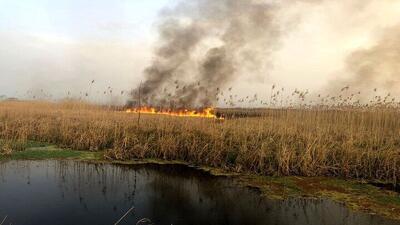 هویزه به شدت تحت‌تاثیر دود آتش‌سوزی هورالعظیم قرار دارد/ علت اصلی این وضعیت، تخصیص نیافتن حق‌آبه هورالعظیم از سوی عراق و ادامه خودسوزی تالاب است