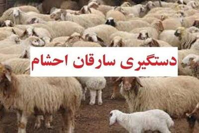  دستگیری سارقین احشام در شهرستان فارسان