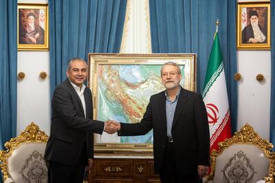 دیدار وزیر کشور پاکستان با لاریجانی
