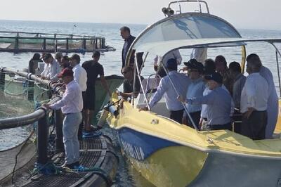 رستم پور: هرمزگان الگوی توسعه پایدار شیلات در منطقه است