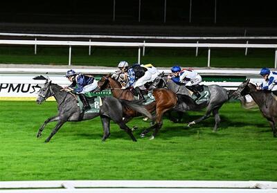 پیست اسبدوانی فرانسه در تصرف دو اسب ایرانی! - پارس فوتبال