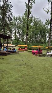  فیلم طبیعت دیدنی مرداب سراوان