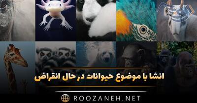  انشا با موضوع حیوانات در حال انقراض؛ ۱۰ انشا علمی کوتاه و طولانی