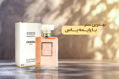  بهترین عطر با رایحه گل یاس چه عطری است؟