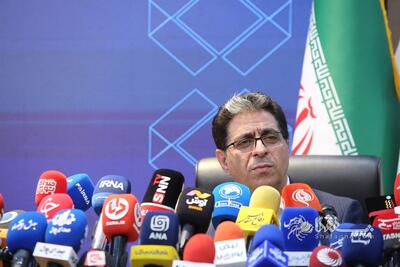 سعیدی: موضوع زیان‌ده بودن شستا ناشی از سوءتفاهم است