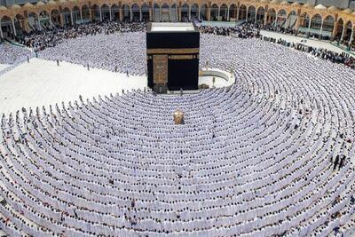 توضیحات رئیس سازمان حج و زیارت در مورد جزئیات حج تمتع ۱۴۰۵