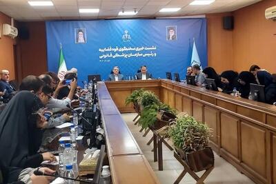 سخنگوی قوه قضائیه: ۱۱۵ محکوم امنیتی تاکنون مشمول عفو معیاری شده‌اند