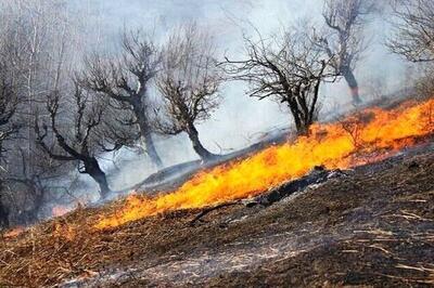 یک آتش کوچک برای تهیه چای، جنگل ارس خراسان رضوی را سوزاند | آتش‌سوزی ۱۵ هکتار از اراضی هزارمسجد