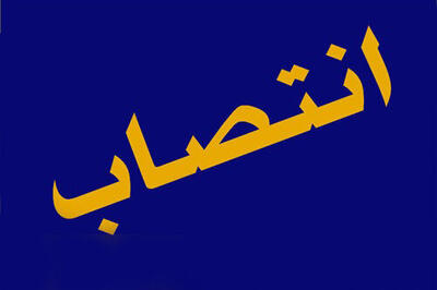  مدیر توسعه منابع انسانی شرکت ملی نفت منصوب شد