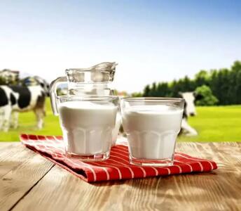 قیمت شیر سر به فلک کشید