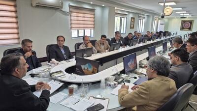 شورای سینمای استان کرمان به زودی تشکیل می‌شود