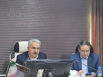  سکته مغزی دومین عامل مرگ و میر در کشور/ شناسایی روزانه ۱۵۰ مورد ابتلا به سکته مغزی