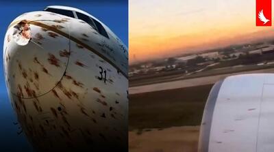  لحظه برخورد پرندگان با بوئینگ 777 عربستان