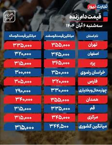 قیمت دام زنده امروز 6 آبان 1404 + جدول