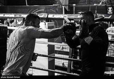 استکی: بابت بستن سربند «حیدر کرار» نگران نیستیم/ علاقه‌ای به MMA ندارم! - تسنیم