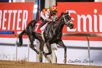 شب درخشان اسب دوانی ایران در فرانسه