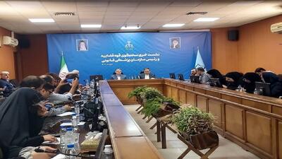  توضیحات سخنگوی قوه قضائیه در رابطه با پرونده پژمان جمشیدی/  تشریح اقدامات دستگاه قضایی در مورد بانک آینده