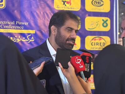 در حال حاضر حدود ۱۰ مگاوات پنل خورشیدی در ادارات مختلف شهر نصب شده است+ فیلم