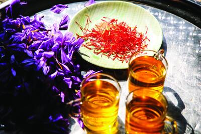  برداشت «طلای سرخ» از مزارع خراسان‌شمالی