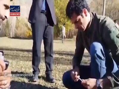 نجات خرس قهوه‌ای از تله