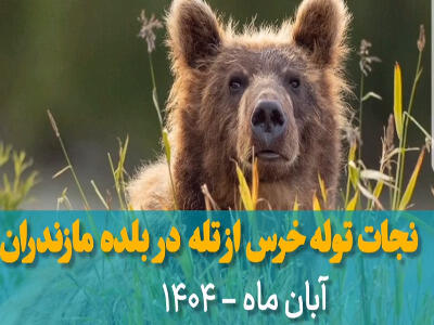  پذیرایی از خرس گرفتار در تله کشاورزان با آب و عسل