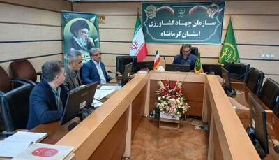  برنامه‌ریزی برای تأمین میوه شب عید و خرمای رمضان در کرمانشاه