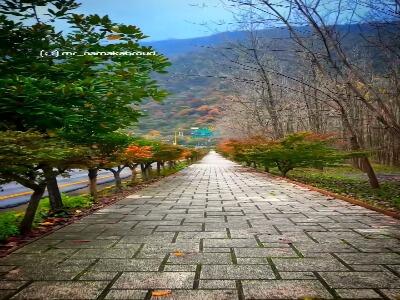  زیبایی منطقه توریستی نمک آبرود