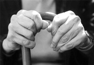 پرداخت هزینه‌های بیمه تکمیلی بازنشستگان کاملاً الکترونیکی شد / سفرهای بازنشستگان و طرح‌های رفاهی توسعه می‌یابد