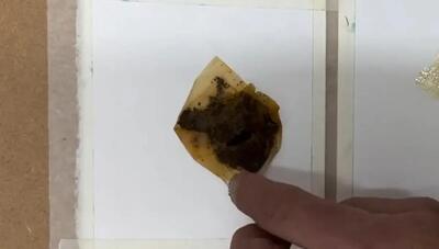 لکه چای کیسه‌ای خالق یک اثر هنری غیرمنتظره شد! (فیلم)