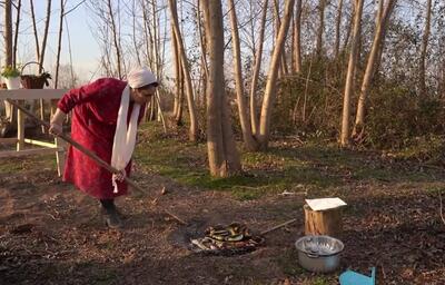  غذای روستایی در ایران؛ پخت دلمه بادمجان در جنگل (فیلم)