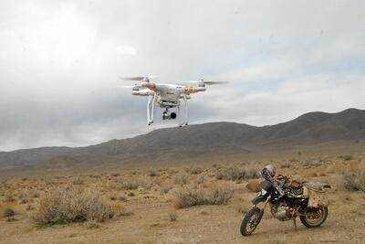 اجرای طرح سراسری سرشماری از گونه‌های شاخص حیات‌ وحش آغاز شد