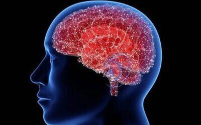  این مولکول کمک می‌کند تا لاغر شوید!