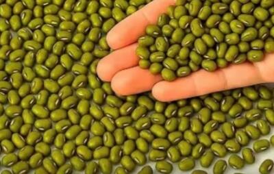  وعده سالم و خوشمزه با ماش؛ خوشمزه تر از گوشت