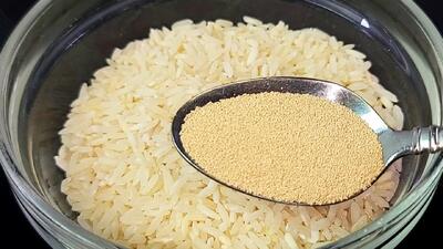  مخمر را با برنج مخلوط کنید، شگفت زده خواهید شد !