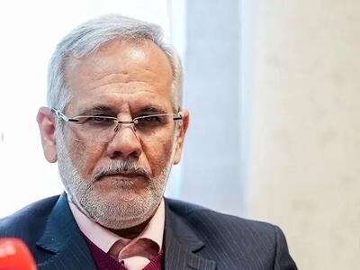  عمده ایرانیان اخراج شده از آمریکا ورود غیرمجاز به آنجا داشتند/ افرادی که به صورت غیرقانونی از کشور خارج شده‌ باشند، مجازات نمی‌شوند