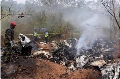  سقوط هواپیمای حامل گردشگران/ چند نفر جان باحتند؟