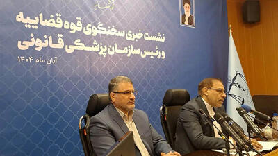 روایت سخنگوی قضا از دو پرونده جنجالی