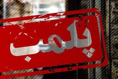  2 پاساژ معروف تهران پلمب شد