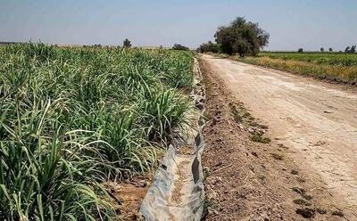 در اقدامی ناگهانی؛ سهمیه آب مزارع هفت‌تپه 50 درصد کاهش یافت!