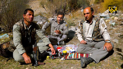  از کمین شبانه تا مواجهه با خرس